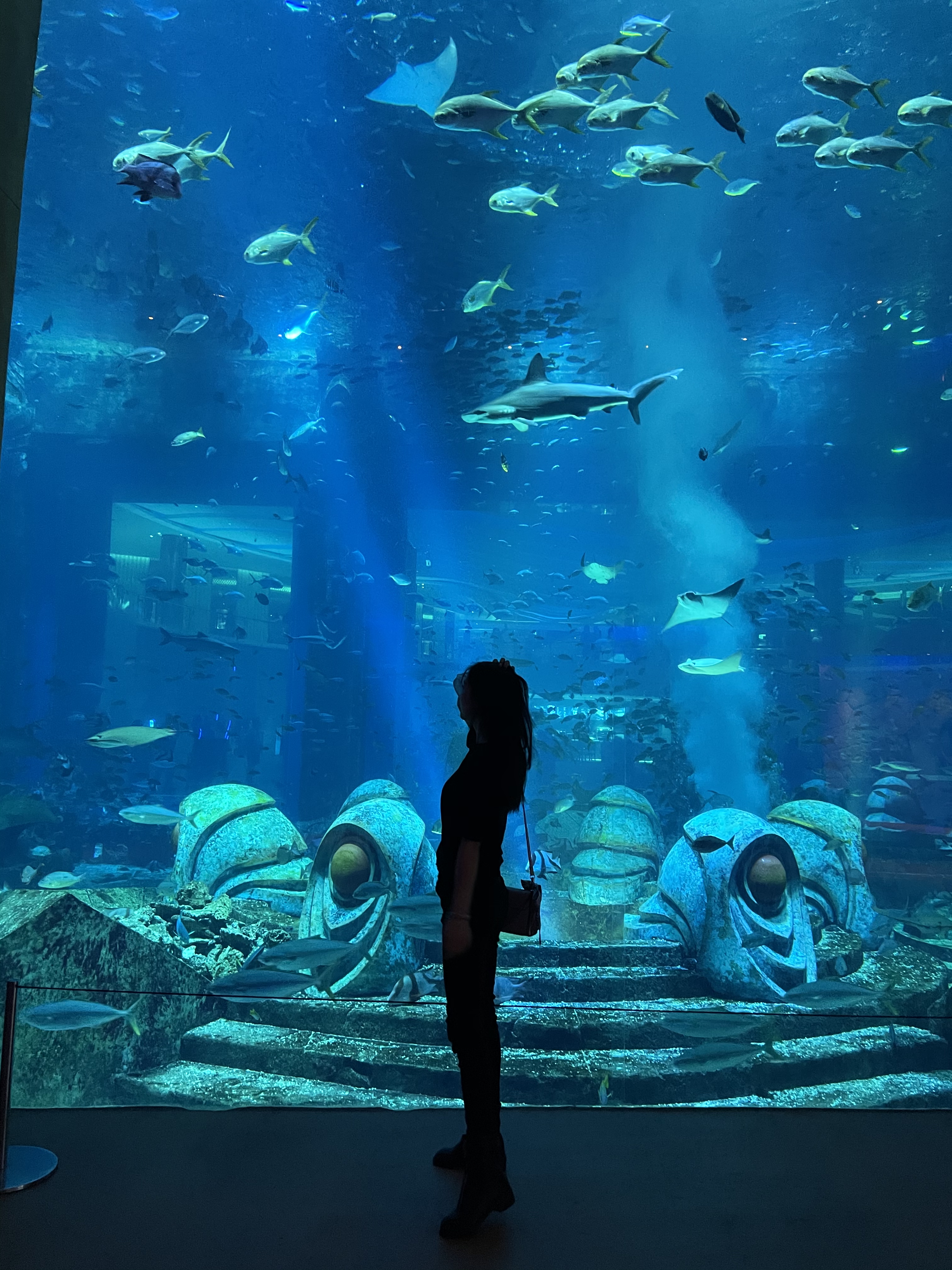 1610171138-17bc7d7108e3834.jpg