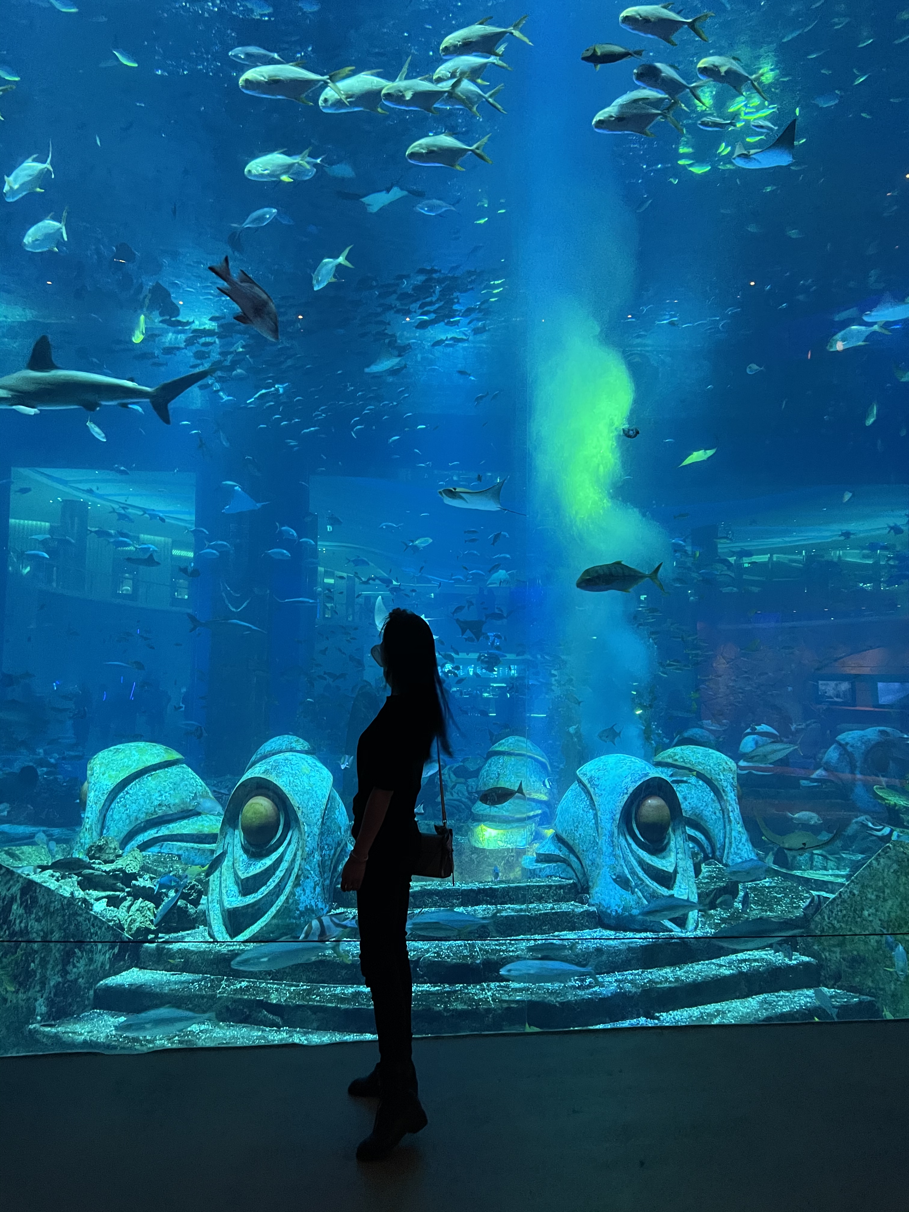 1610171146-5f81547c1db2396.jpg