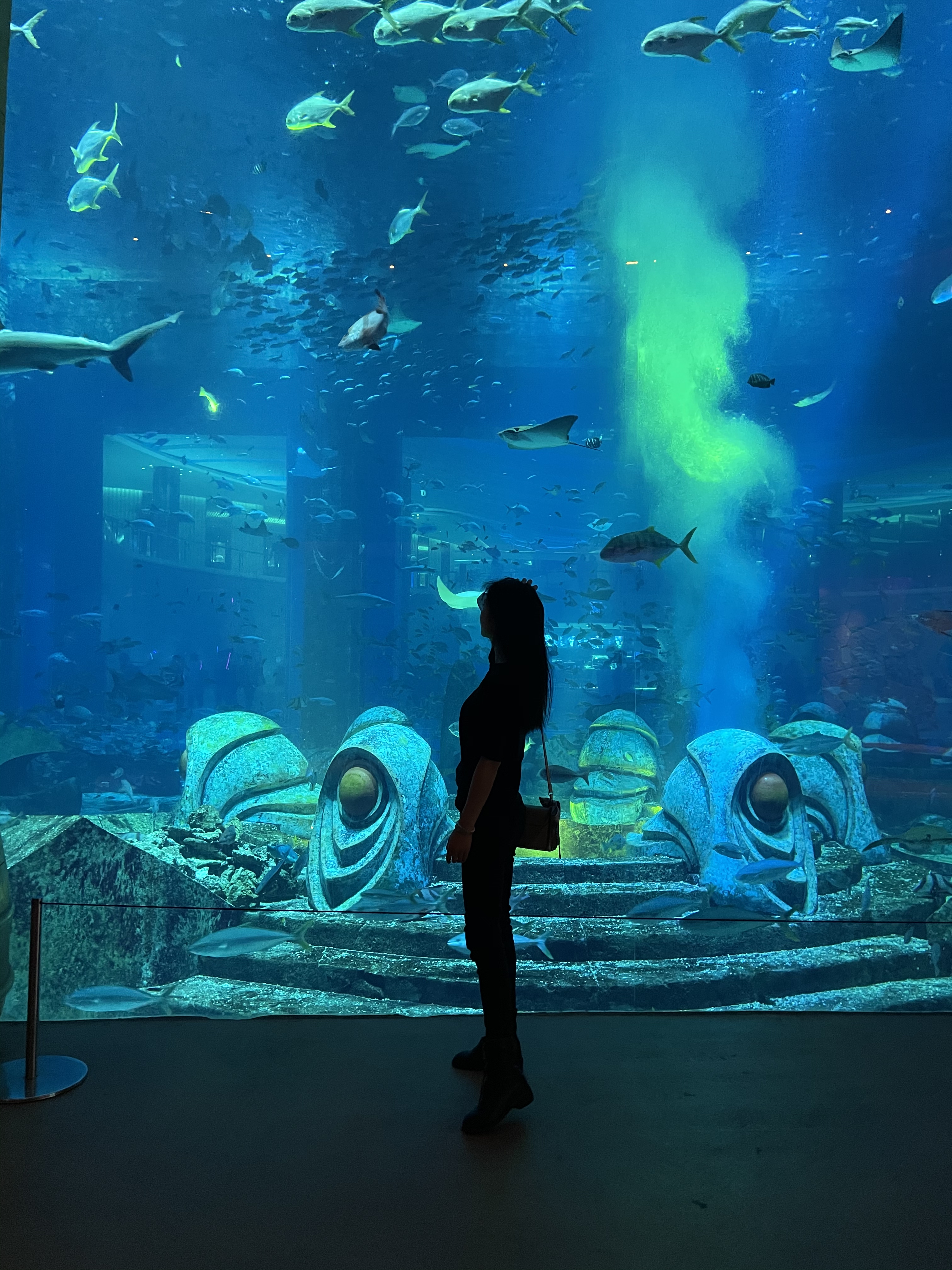 1610171152-72b9e211439d79f.jpg